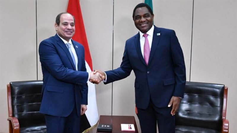 لقاء الرئيس السيسي