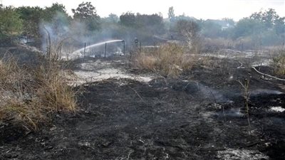 أوكرانيا والإمارات تبحثان تداعيات الجرائم البيئية الروسية