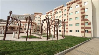 بدء تنفيذ تطوير وإعادة تنسيق الموقع العام لجامعة المنيا