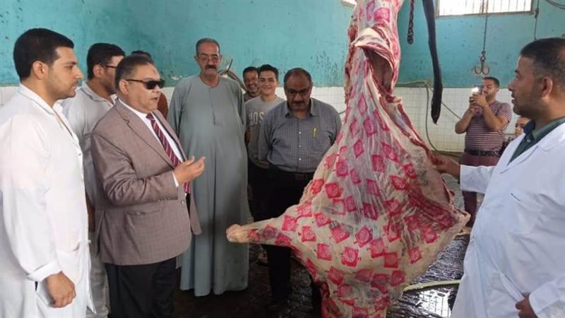 وكيل وزارة الطب البيطري