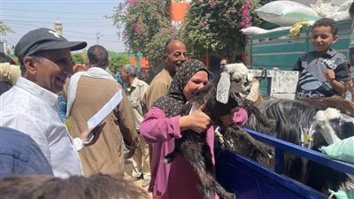 محافظ المنيا استكمال مشروعات 