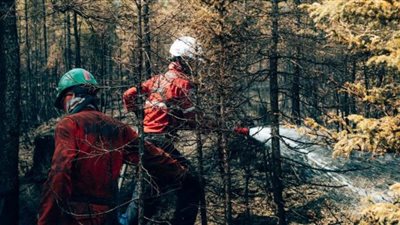 انضمام مئات الإطفائيين الأوروبيين للمساعدة في إطفاء حرائق الغابات في كندا