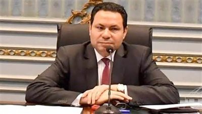 النائب هشام الحصري: القطاع الزراعي من أهم القطاعات التي تساهم في دعم الاقتصاد الوطني