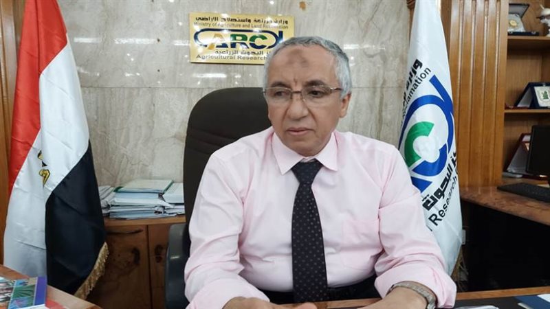 الدكتور محمد سليمان