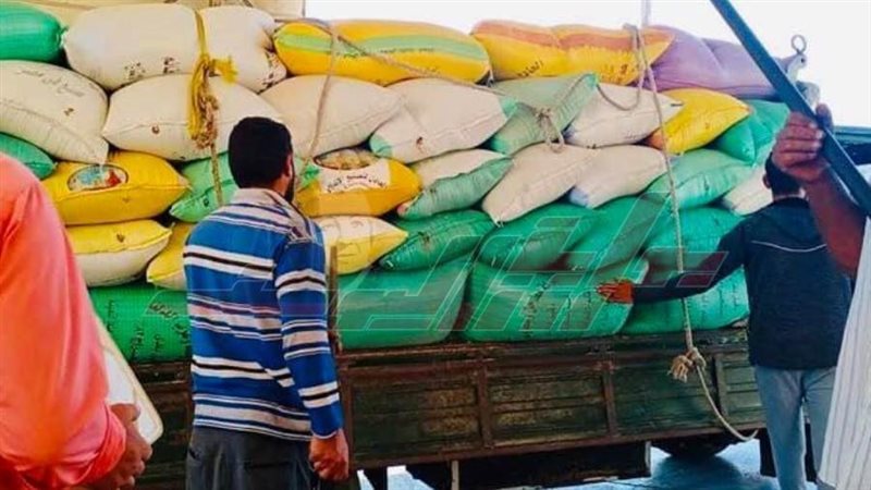 توريد واستلام القمح