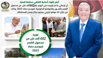 شون وصوامع المنيا تستقبل 442 ألف طن من محصول القمح