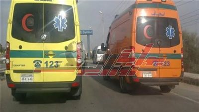 بالأسماء.. إصابة 13 شخصًا في حادث تصادم بكفر الشيخ 