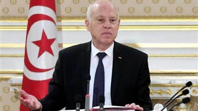 قيس سعيد: تونس لا يمكن أن تكون حارسة إلا لحدودها