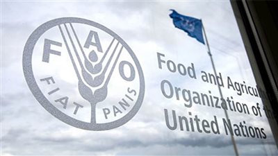 (الفاو) تتوقع وصول فاتورة الغذاء العالمية إلى مستوى قياسي هذا العام