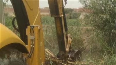 إزالة 371 حالة ضمن الموجة الـ21 لإزالة التعديات ببني سويف