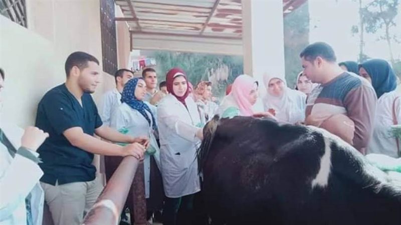 خبراء الطب البيطرى