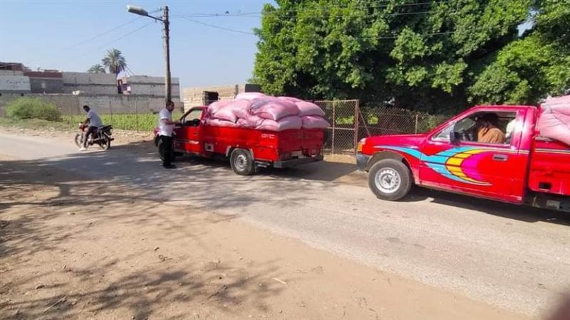 ضبط قمح بالمنيا