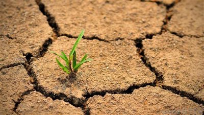 السعودية تحتفي باليوم العالمي لمكافحة التصحر والجفاف