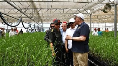 وزير الزراعة ومحافظ أسوان يتفقدان محطة شتلات قصب السكر في وادي الصعايدة