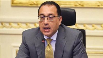 مصر تؤكد دعمها القوى لمواصلة الجهد الإفريقي لتسوية الأزمة الروسية الأوكرانية حتى تحقيق السلام