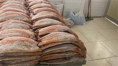 ضبط طن لحوم وأسماك مصنعة ومخالفة بحملة تفتيشية بالشرقية