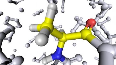 الأحماض الدهنية النيتروجينية: مركبات جديدة في النظام الغذائي المتوسطي 