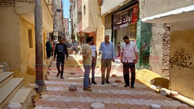 حملات نظافة وإزالة تعديات ومكافحة حشرات ورصف بكفر الشيخ