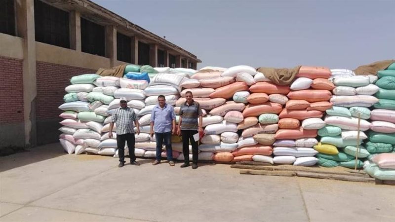 توريد القمح للشون