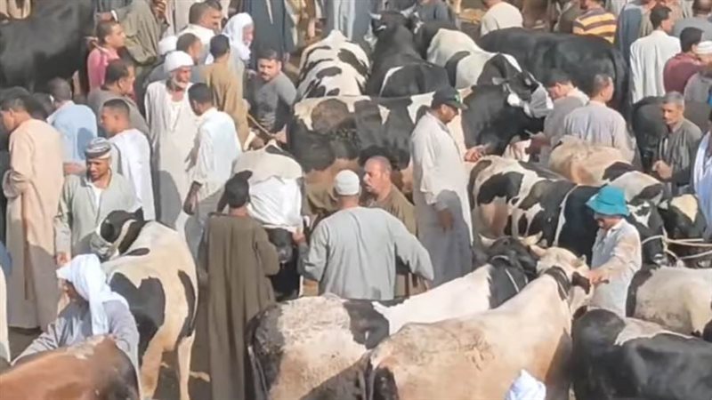 إقبال المواطنين على