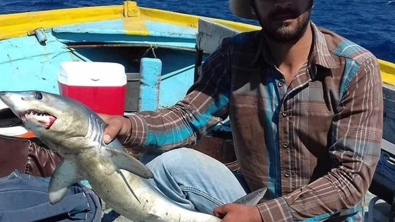 إحدى صور موقع التواصل