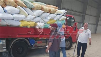 توريد 200053 طنًا و467 كيلو قمح لشون وصوامع كفر الشيخ