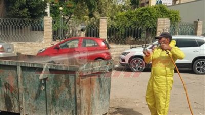 حملات نظافة ورصف بالأنترلوك ومقاومة الحشرات الطائرة بمراكز كفر الشيخ