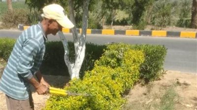 محافظ المنيا: استمرار تطوير وتجميل الميادين بالمدن ضمن مبادرة 100 مليون شجرة