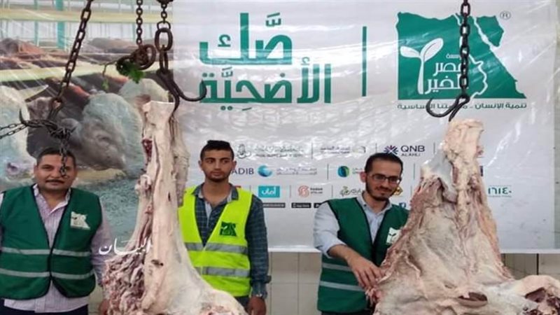 مؤسسة مصر الخير