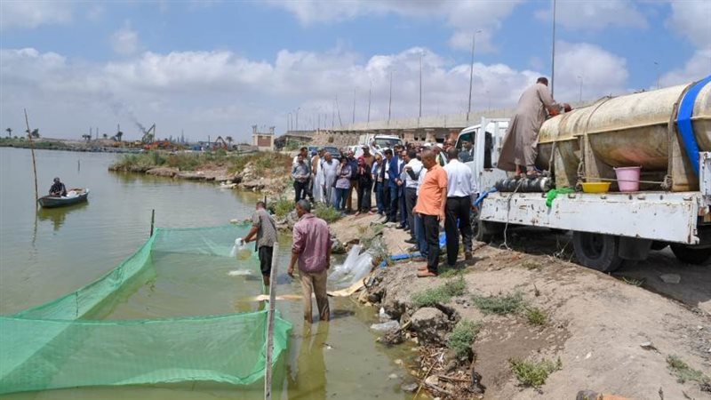 بحيرة مريوط