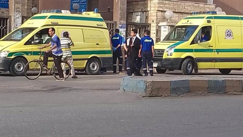 مستشفى ميت سلسيل