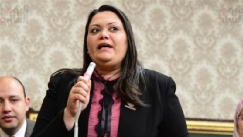 النائبة مارسيل سمير