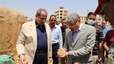 توريد 459 ألف طن من محصول القمح بشونة وصوامع المنيا 