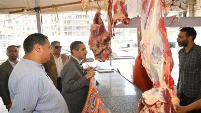 محافظ الغربية يتفقد منافذ بيع اللحوم بأسعار مخفضة بطنطا ومشروعات الرصف والتطوير بمدينة كفر الزيات