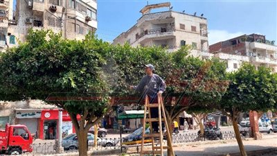 حملات نظافة رصف وتطهير بمراكز ومدن كفر الشيخ