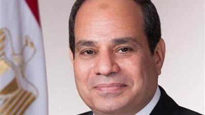 الرئيس السيسي يبحث سبل توسيع وتعميق أنشطة شركة الخطوط الملاحية الفرنسية العالمية في مصر