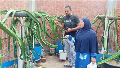 قصة حب وراء زراعة 