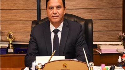 أمين عام حماة الوطن: الاصطفاف خلف القيادة السياسية يحافظ على مسيرة التنمية والتقدم