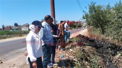 حملات نظافة ورفع كفاءة الإنارة وتطهير الترع بكفر الشيخ