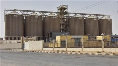 محافظ أسيوط يعلن ارتفاع نسبة توريد القمح إلى 132 ألف طن بالشون والصوامع حتى اليوم