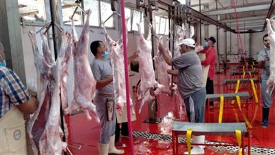 24 مجزرًا لذبح أضاحي العيد مجانًا بالدقهلية.. تعرف عليهم