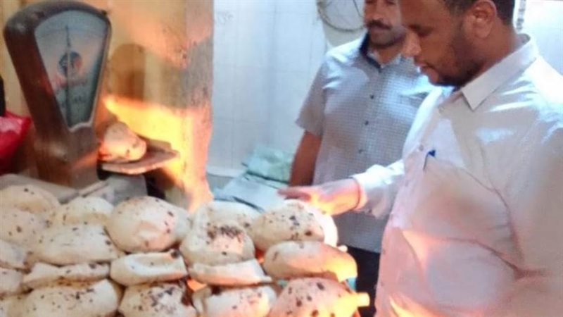 حملات تموينية متنوعة