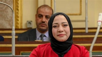 عضو طاقة النواب: كلمة الرئيس السيسي في قمة باريس كاشفة للتحديات التي تواجه الدول النامية جراء التغيرات المناخية