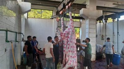 تعرّف على المجازر التي تفتح أبوابها لاستقبال الأضاحي بالمجان خلال عيد الأضحى بالمنيا