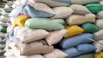 توريد  395 ألف طن قمح لشون وصوامع محافظة البحيرة