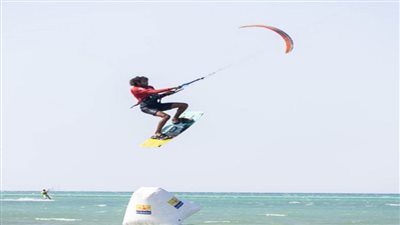 تنظيم مهرجان 