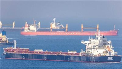 ميناء سفاجا يستقبل سفينة تحمل 2500 رأس عجول حية من جيبوتي