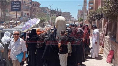 كفر الشيخ تشهد إقبالًا من المواطنين على شراء الأسماك