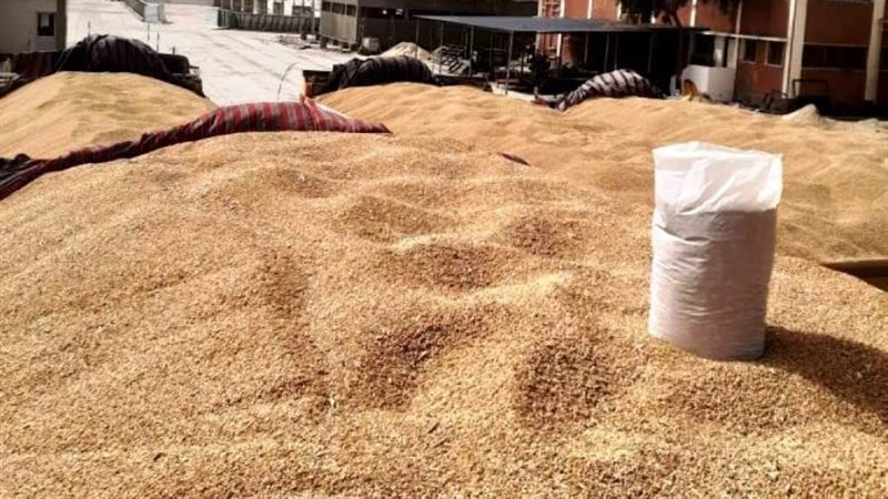 جانب من التوريد