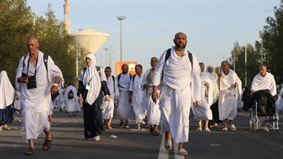 موسم الحج.. تكامل بين 
